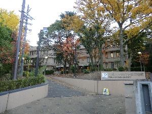 おしゃれな博物館
